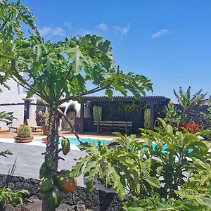 Appartement Dragos, Masdache